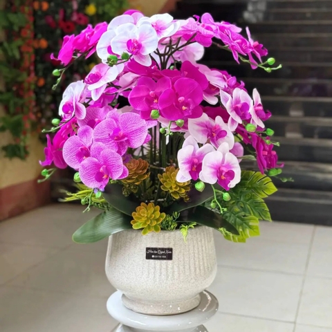 Lan Cao Su Non 15 Cành Màu Tím Mix Trắng Để Bàn