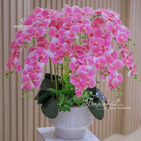 Chậu Hoa Lan Hồ Điệp Cao Su Màu Hồng Phấn