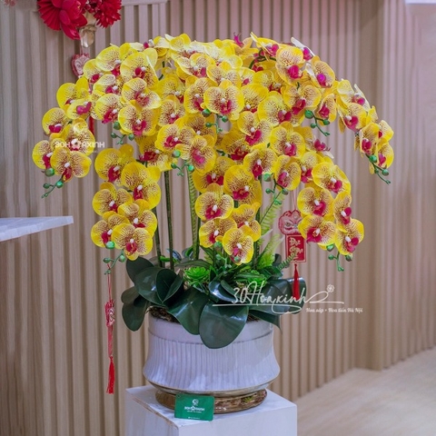 Chậu Hoa Lan Hồ Điệp Cao Su Màu Vàng Lõi Tím