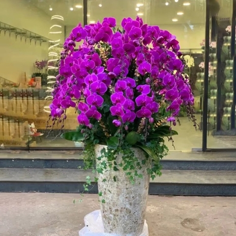 Chậu Hoa Lan Hồ Điệp Giả Màu Tím Phú Quý