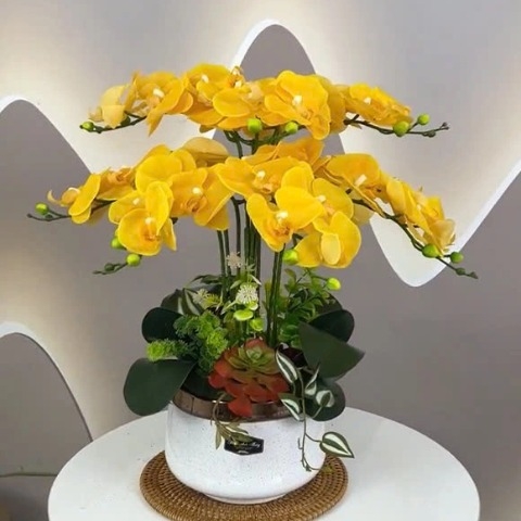 Chậu Lan Hồ Điệp Giả Màu Vàng Sang Trọng
