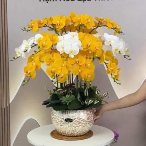 Hoa Lan Hồ Điệp Giả Màu Vàng và Trắng Phát Lộc