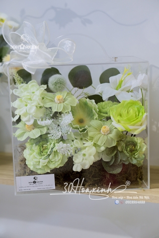 Hộp Vali MiKa Hoa Sáp Màu Xanh Matcha