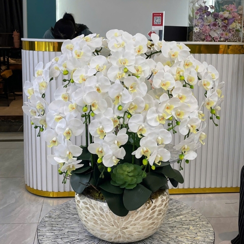 Chậu Lan Hồ Điệp Cao Su Non Màu Trắng – 12 Cành Thanh Lịch, Tinh Khôi