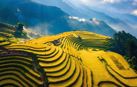 Máy in hóa đơn