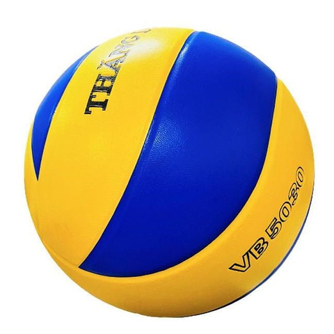 Bóng chuyền Thăng Long VB5030X