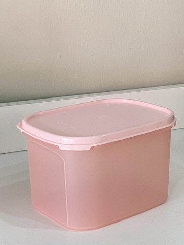 TupMalay - Hộp Tupperware mát colorful 1.9lit (4 màu)