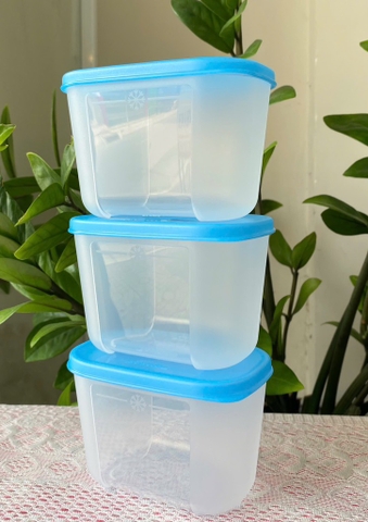 Tuptrung - Hộp đông 300ml - thân trong nắp xanh basic