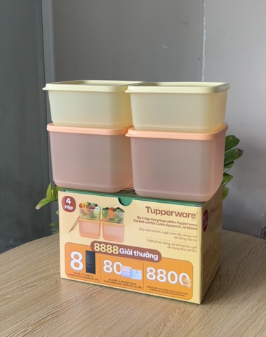 {{TUP80}} Bộ 4 hộp đựng thực phẩm Tupperware trữ khô và mát Cubix Square 1L và 650mL