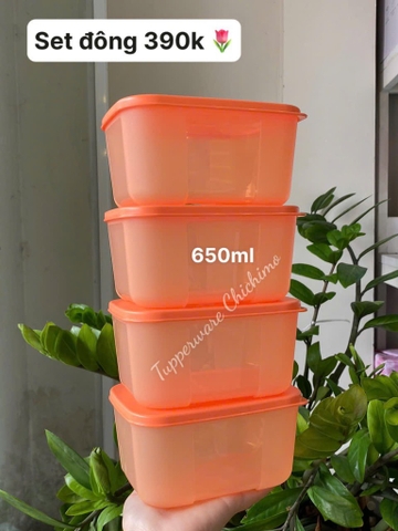 Hộp Tupperware Đông cao 650ml - Tupperware Trung Chính Hãng