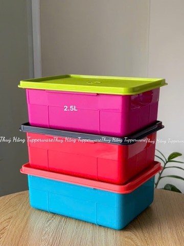 Bộ Khay Tupperware Đựng Sushi, Topping 2 ngăn Fun Keeper - Tupperware Malaysia Chính Hãng