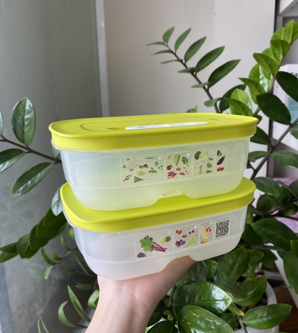 Hộp  Tupperware Ventsmart  - Có Nút Hô Hấp - Tupperware Trung Chính Hãng