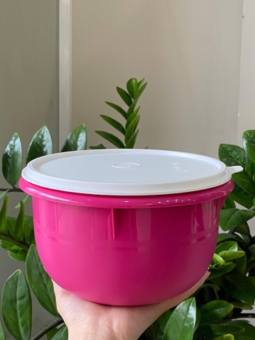 Hộp mát 2 lít - màu hồng