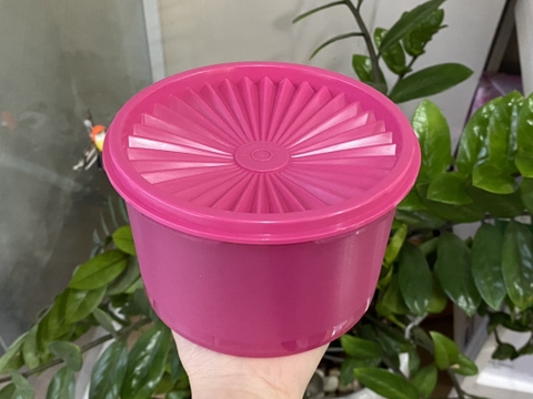 Hộp Tupperware Mini deco 1L - Tupperware Chính Hãng