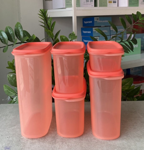 Set khô Tupperware cam đào (5)