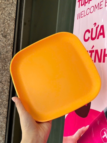 Tuptrung Đĩa Vuông 20cm (1 Cái)