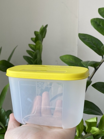 Hộp  Tupperware Trữ Đông Thường 300ml - Tupperware Trung Chính Hãng