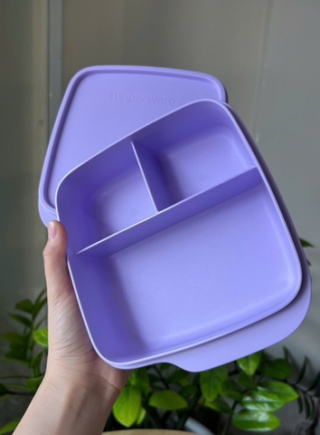 TupMalay - Hộp Cơm Tupperware Lolly
