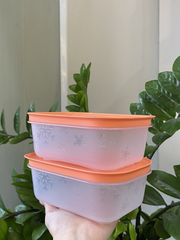 Hộp Tupperware Trữ Đông Thân Trong 450ml - Tupperware Trung Chính Hãng