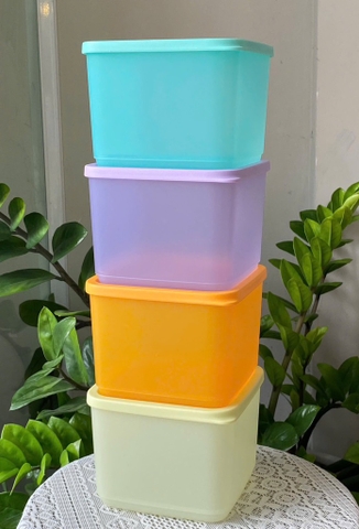 Bộ Hộp BQTP Tupperware Medium Square Round 4 Hộp 1L