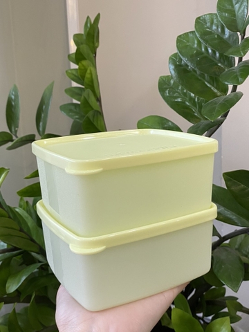 Hộp Tupperware Trữ Mát Gen l 400ml - Tupperware Trung Chính Hãng