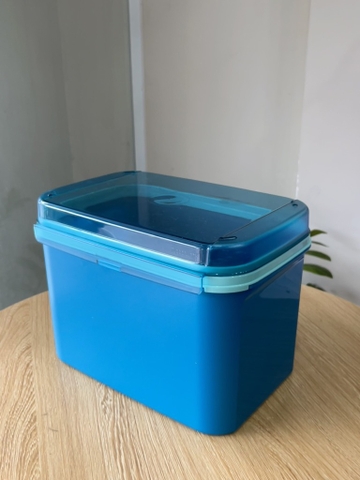 Hộp Tupperware Trữ Mát Ezy Rectangular Keeper 6.5L - Nắp Liền - Tupperware Malaysia Chính Hãng