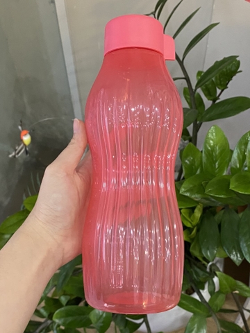 Bình Nước Ngăn Đông Tupperware 880ml