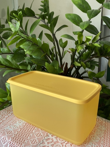 Tuptrung Hộp Lẻ Ngăn Mát Tupperware Funtastic Màu Ngẫu Nhiên 3.1L (01 Hộp)