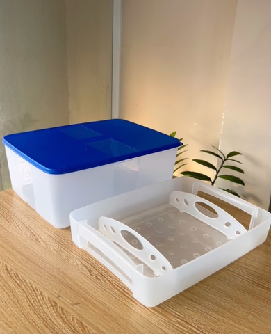 Hộp Tupperware Trữ Đông Có Khay Lót Đáy 5.7L - NEW TUPPERWARE Chính Hãng