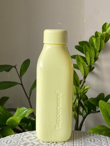 Bình Nước Tupperware Squar Eco Bottle 500ml - Tupperware Malaysia Chính Hãng