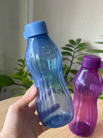 TupMalay - Bình Nước Ngăn Đông Tupperware 500ml