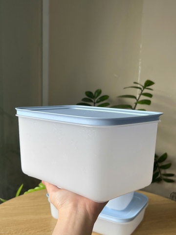 Hộp đựng thực phẩm Tupperware trữ đông Gen II - New Tupperware