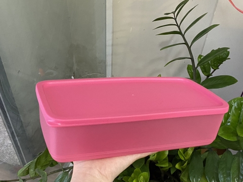 Hộp Tupperware Pak n stor 1.4L - Tupperware Chính Hãng
