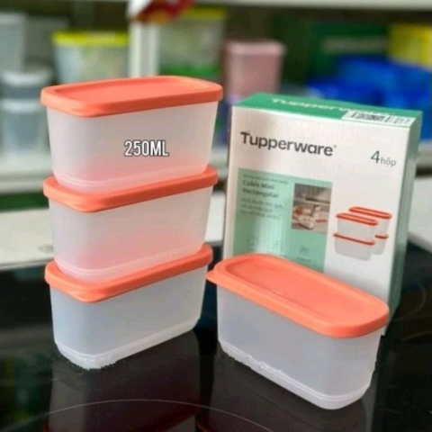Bộ 4 Hộp Tupperware Mini Rectangular 250ml  - Tupperware Chính Hãng