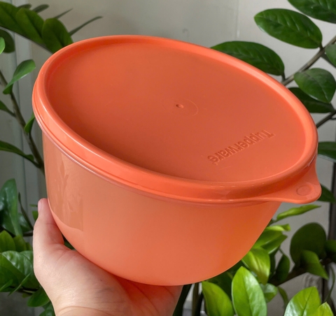 Bộ hộp mát tròn to