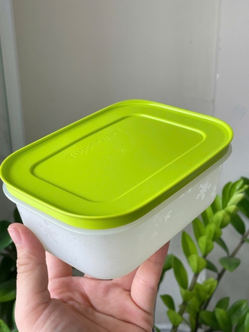 Hộp Lẻ Tupperware Đông Dẻo 450ml