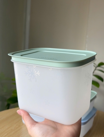 Hộp đựng thực phẩm Tupperware trữ đông Gen II - New Tupperware