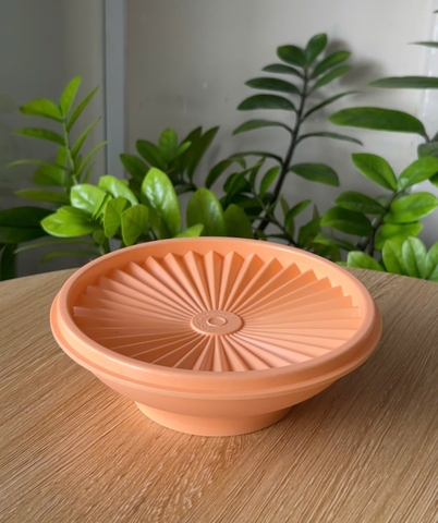 Hộp Đựng Thực Phẩm Tupperware Trữ Khô Và Mát Heritage Bowl 400ml - New Tupperware