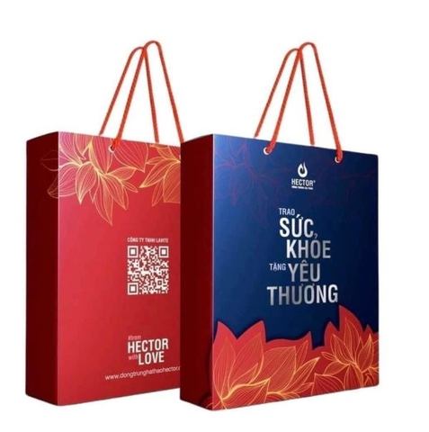 Set Quà Tặng Tết 2024 – Quà Tết Ý Nghĩa Cho Sức Khỏe (20 chai Đông Trùng Hạ Thảo Sâm)