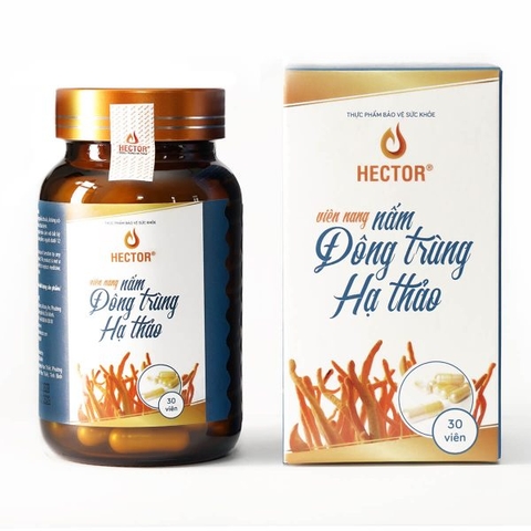 Đông Trùng Hạ Thảo Hector Dạng Viên Uống