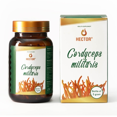 Đông Trùng Hạ Thảo Dạng Sợi Sấy Khô Hector