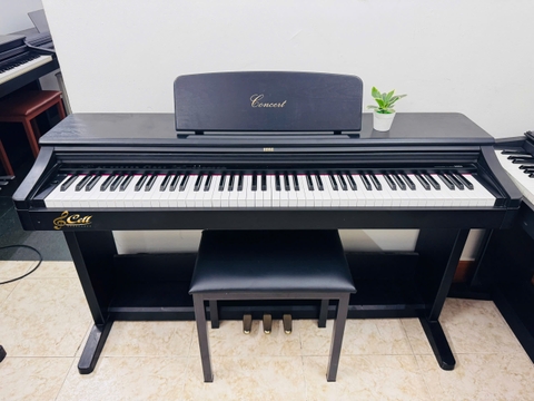 Đàn Piano Điện Korg C35W