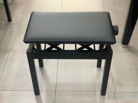 Ghế ngồi pian nâng hạ