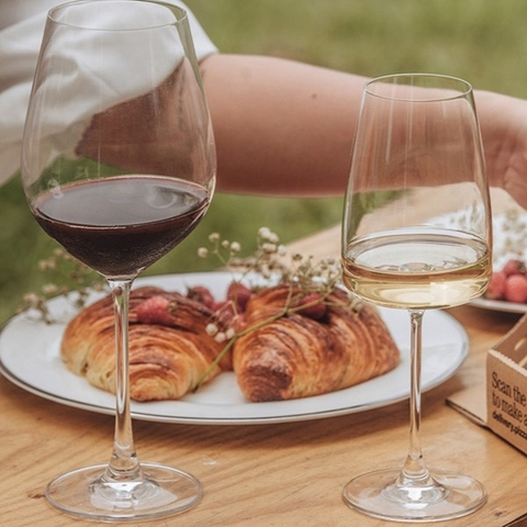 Tại sao phải chọn ly rượu vang thích hợp?