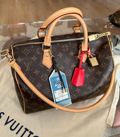 Louis Vuitton Speedy 30