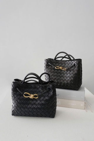 Bottega Veneta Andiamo Small