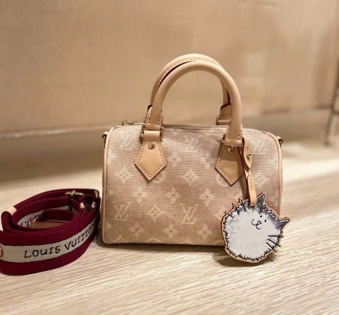 Túi Xách Louis Vuitton Speedy 20 Limited