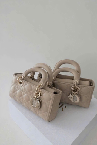 Dior Djoy Small Powder Beige