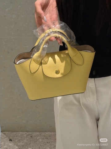 Túi Xách Longchamp Epure Xs Vàng