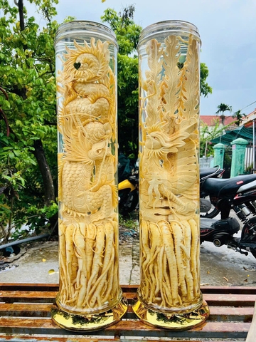 Bình Đinh Lăng nếp lá nhỏ